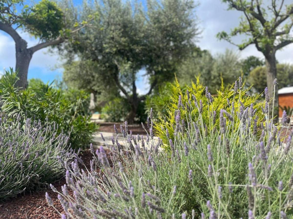 Maison Dei Trulli Lägenhet Locorotondo Exteriör bild