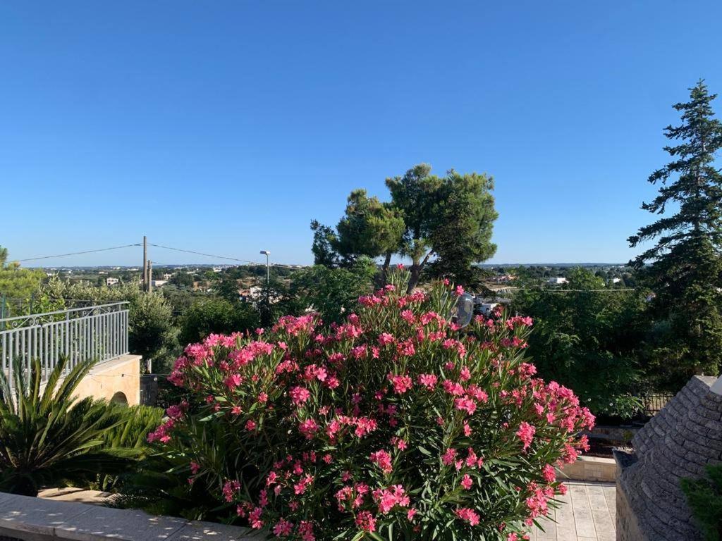 Maison Dei Trulli Lägenhet Locorotondo Exteriör bild