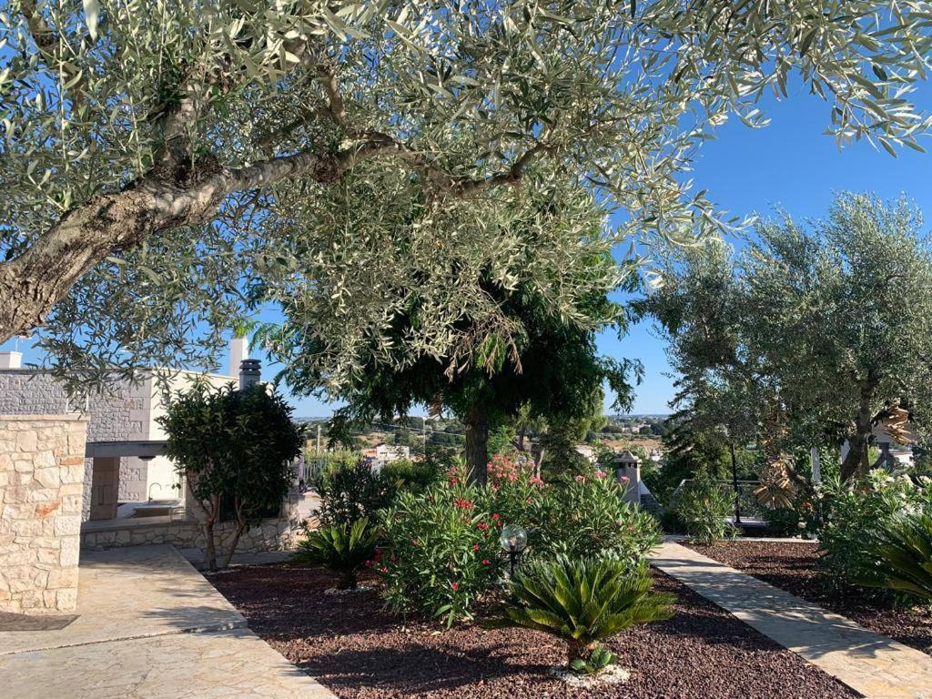 Maison Dei Trulli Lägenhet Locorotondo Exteriör bild